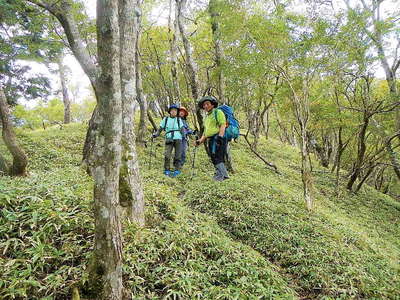 花立山荘の上辺りから源次郎尾根へ