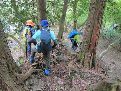 書策新道入口から一般道へ