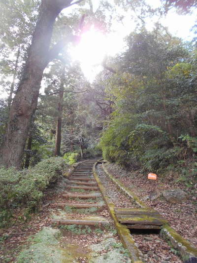 丸山公園上までの遊歩道 