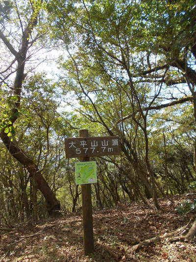 大平山山頂 