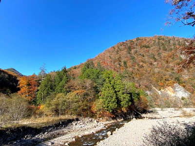 全山紅葉