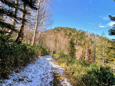 物見山への登山道 