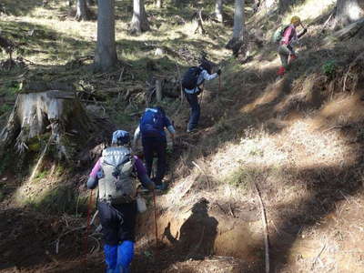 ブルドーザ道から登山道へ 