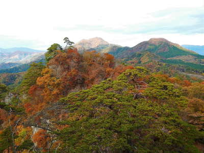 小ピーク北側の松と紅葉