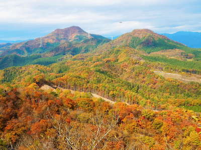 北方向の紅葉