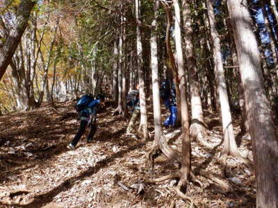 股峠から西岳を目指す