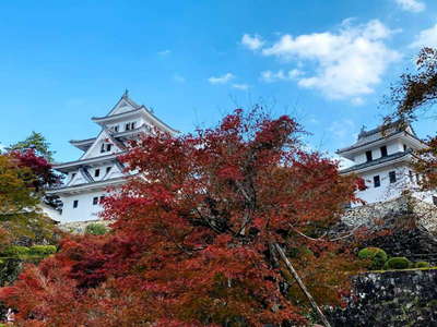 郡上八幡城