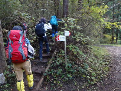 尾根へ登山道を登る 