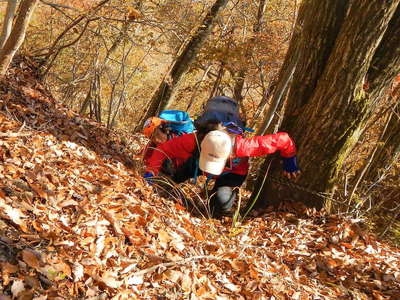 その名のとおり　山が急な山だ