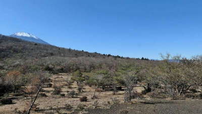 日本一の富士山と第二位と三位が一緒に