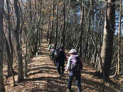 高畑山への最後の登り 