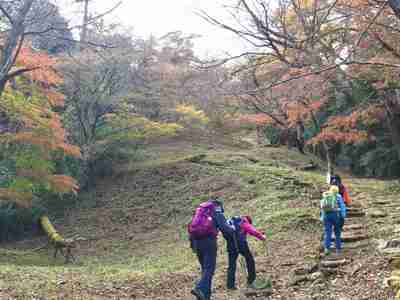 鷹巣山への登り 