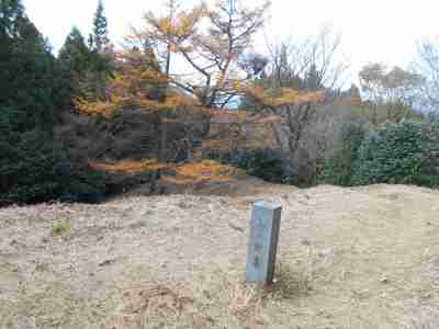 鷹巣山山頂付近の樹林帯 