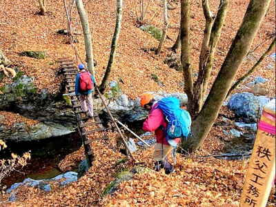送電線用黄標柱のある登山口