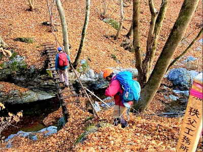 送電線用黄標柱のある登山口