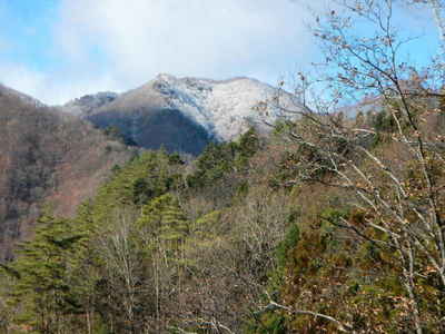 ぶどう岳方向に霧氷 