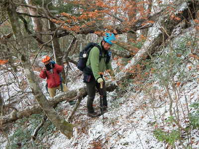 薄っすら雪化粧 