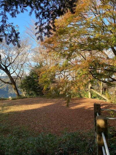 広々とした津久井城山城址 