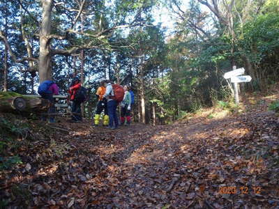 城山分岐 