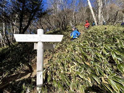 水干への分岐