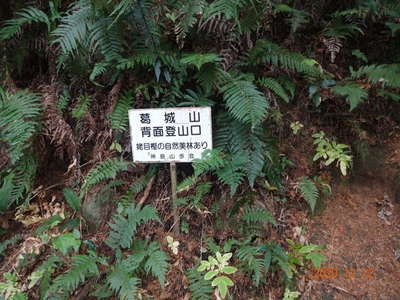 山頂到着 