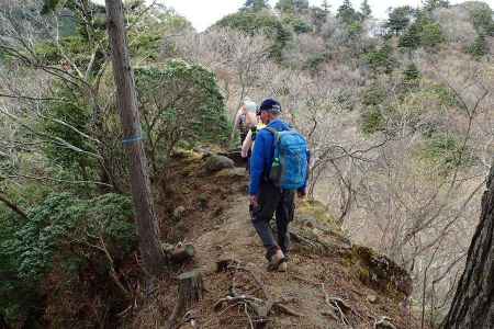 岩っぽい痩せ尾根