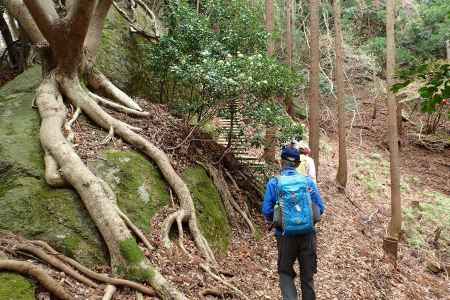 広くなった稜線に苔むした大岩 