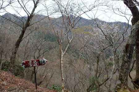 大沢分岐の先は大山三つ峰 