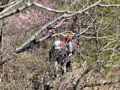 ヤブ岩稜の直登