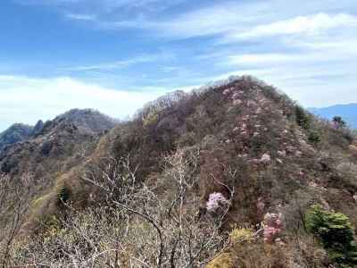 天狗岩・シラケ山～アカヤシオに染まるマル