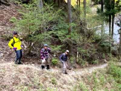 登山口の林道に無事到着 