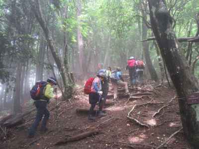 里山の路 