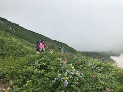 天空のお花畑 