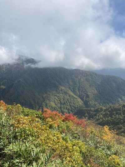 一面の紅葉