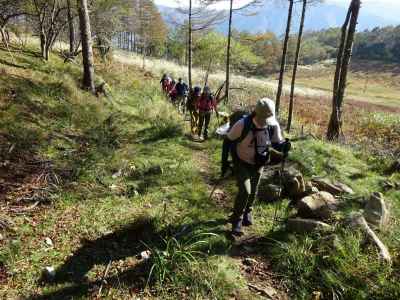 林道から登山道に入って間もなく