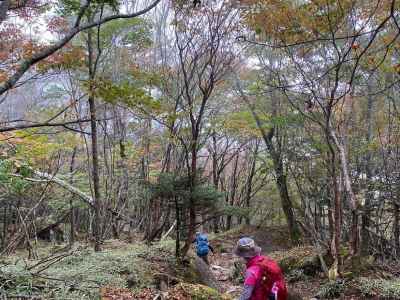 秋ならではの登山道