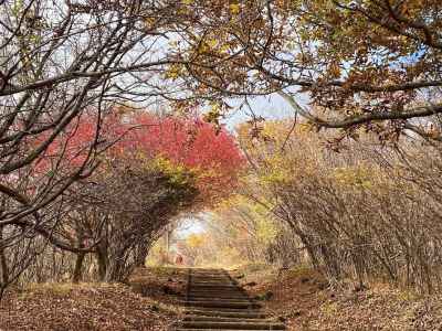 紅葉のトンネル 