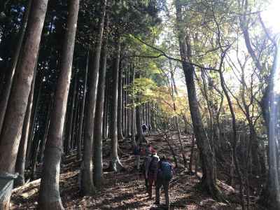権現山への登り 