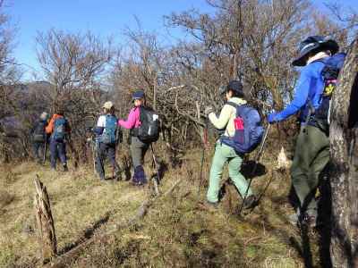 金比羅尾根登山口　諸戸まで下る