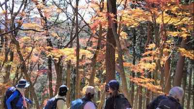 ヨモギ尾根の紅葉