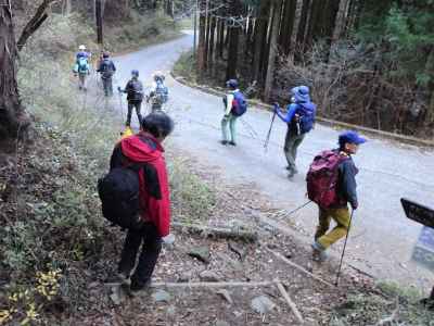 二ノ塔から菩提林道へ下山、ヤビツ峠は間もなく！