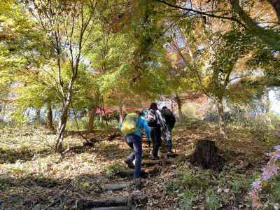 頭高山への登り 