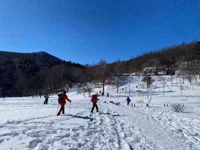 入笠湿原