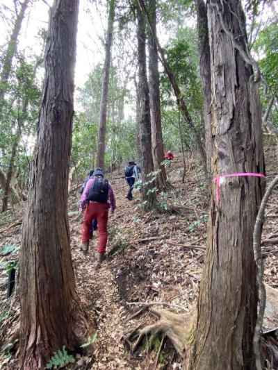 不動山への上り