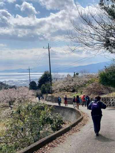 梅林を巡りながら下山