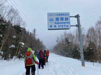 車道を歩き麦草峠へ 