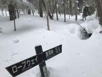 道標も埋まる 