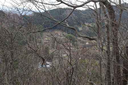 木々の間から風布の山里