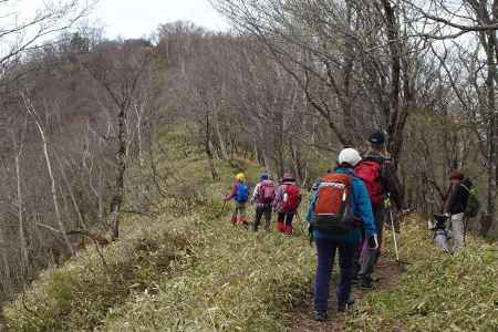 芽吹きもまだ浅い登山道 