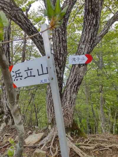 浜立山との分岐 